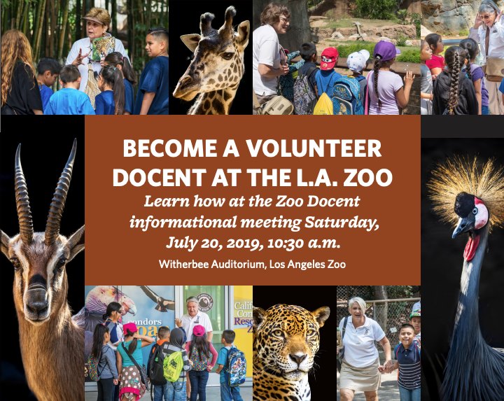 zoo-volunteer become a zoo volunteer