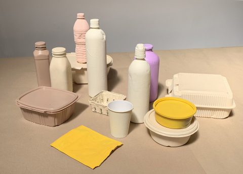 Disposable food containers