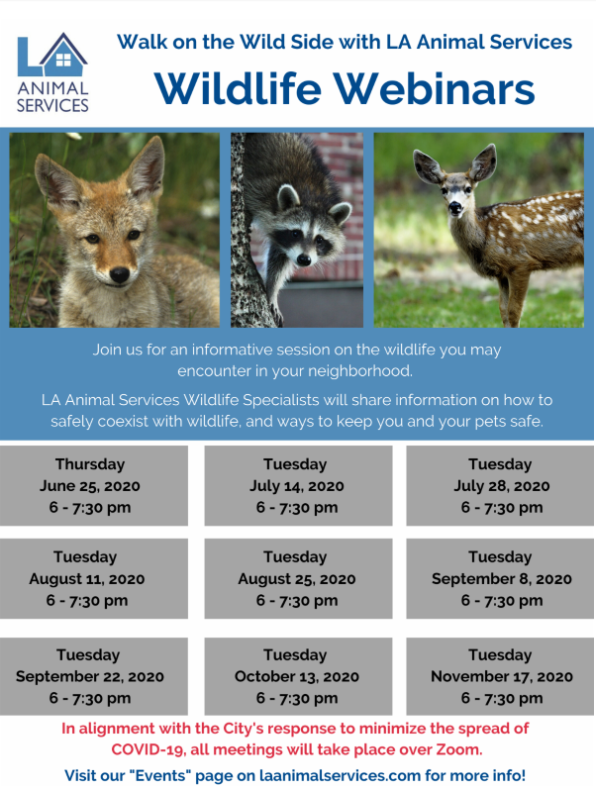 Wildlife Webinar